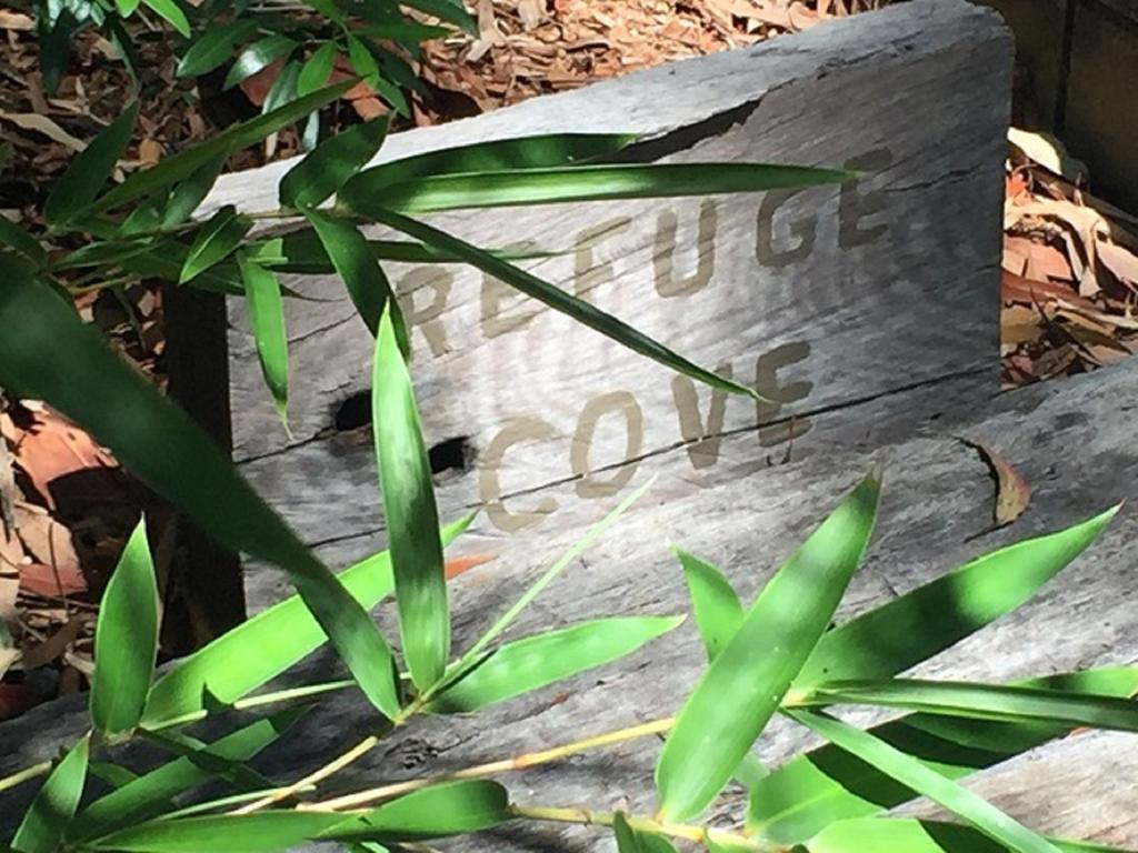 Clareville Refuge Cove On Pittwater 아파트 외부 사진